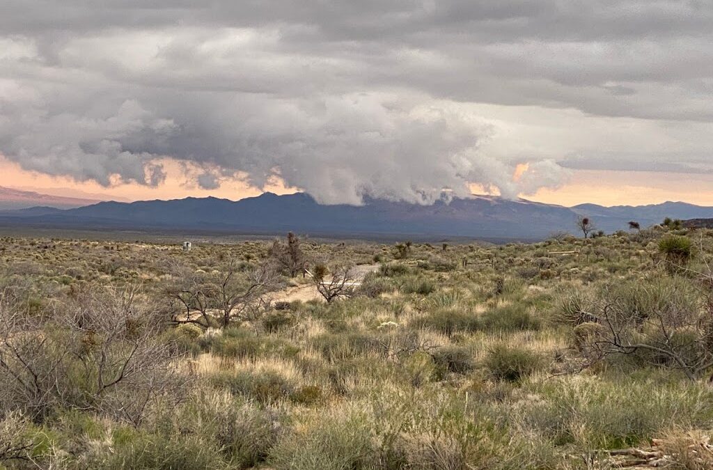 Hotter Than Mojave – by Elaine Gorman