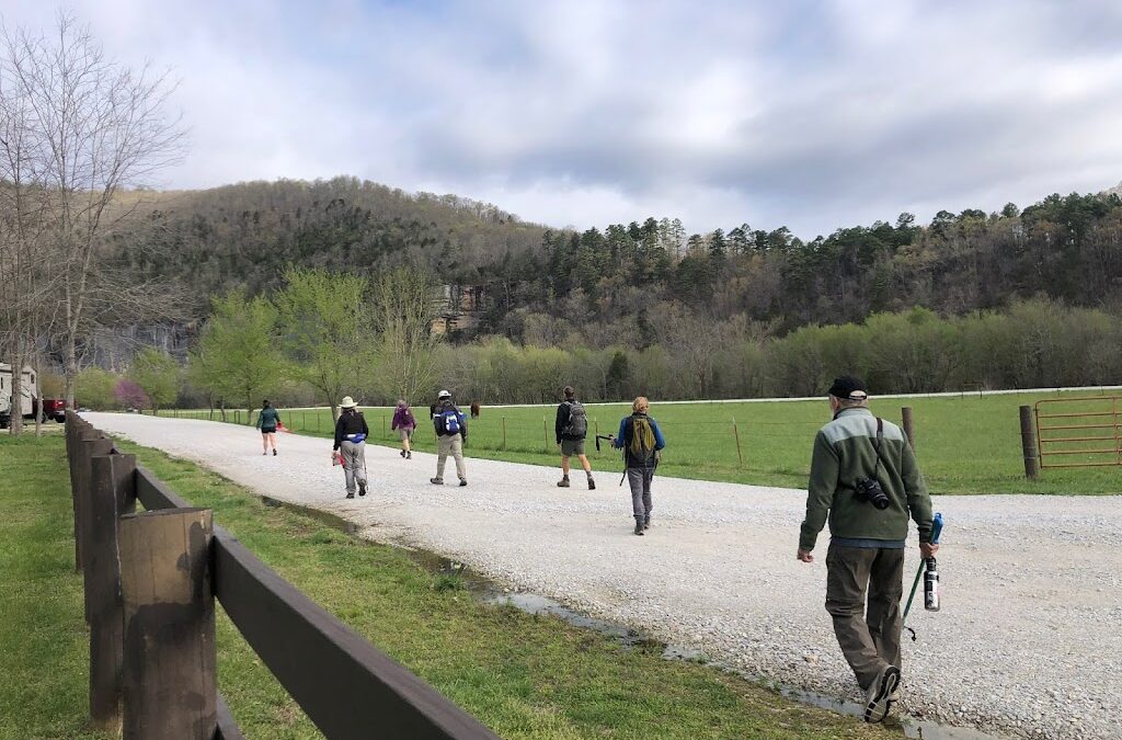 Buffalo National River: A Careful Entry into the 2021 Project Season