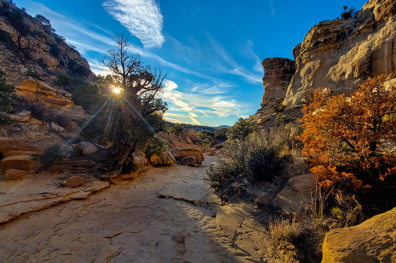 The 2022 Wilderness Volunteers Photo Contest