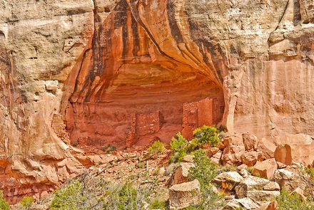 To Visit & Volunteer with Reverence